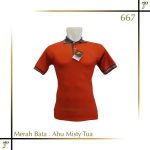 Polo Shirt Warna Merah Bata